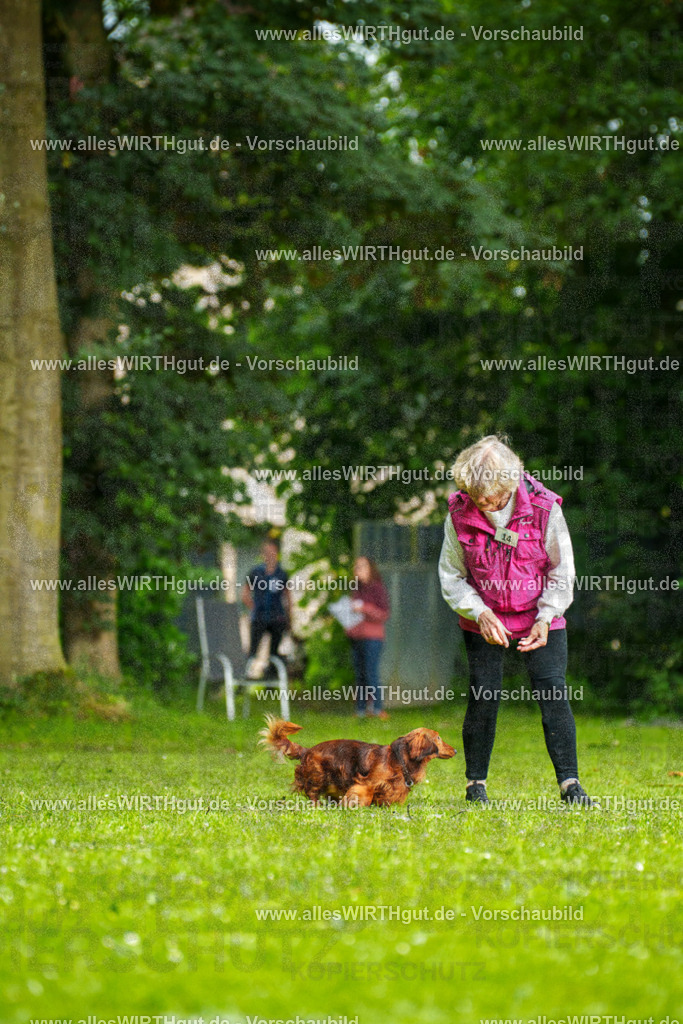 @allesWIRTHgut_Tierfotografie - www.allesWIRTHgut.de - 090700-7R506504 | Professionelle Tierfotografie in Mönchengladbach von Daniel Wirth (allesWIRTHgut). Liebevolle & natürliche Bilder von Hunden & Katzen für unvergessliche Erinnerungen.