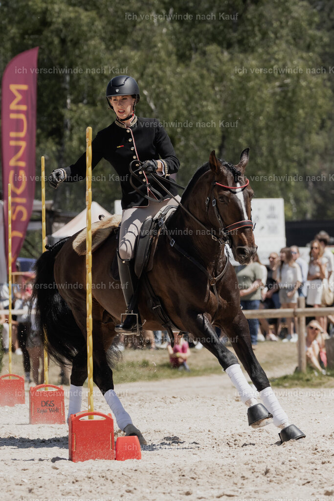 WE_SP_Stoib_330_PI2025_1985 | Pferd International München 2025