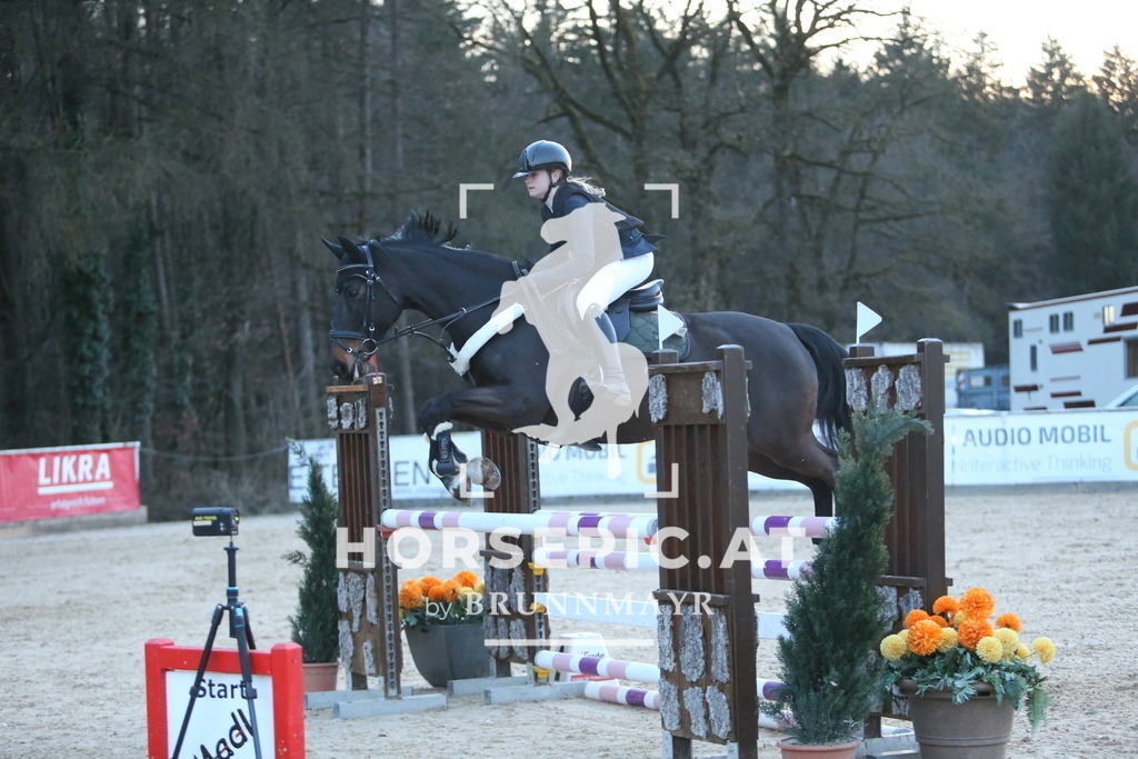 DL2Q4931 | Willkommen bei Brunnmayr - Design & Fotografie – Ihrem Spezialisten für Reitturniere und Pferdeveranstaltungen in Oberösterreich, Salzburg und Bayern! Seit über 17 Jahren sind wir leidenschaftlich dabei.