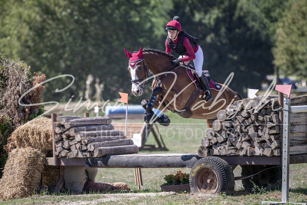 20260906-_3LI3947 | Tierfotografie Pferde, Hunde, Katzen, Haustiere.
Turnierfotografie Reitturniere, Reiten, Springreiten, Dressur in Hanau, dem Main-Kinzig-Kreis und dem Rhein-Main- Gebiet um Frankfurt