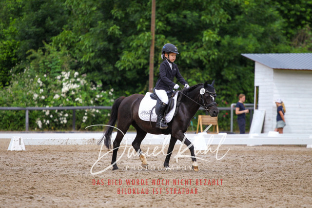 DKP47499 | Turnierfotos kaufen im Webshop von Daniel Kuhl Photography – entdecke professionelle Reitsportfotos aus Turnieren & Events. Hochwertige Turnierbilder online bestellen & sichern. Jetzt Fotos von Reitsportturnieren kaufen!