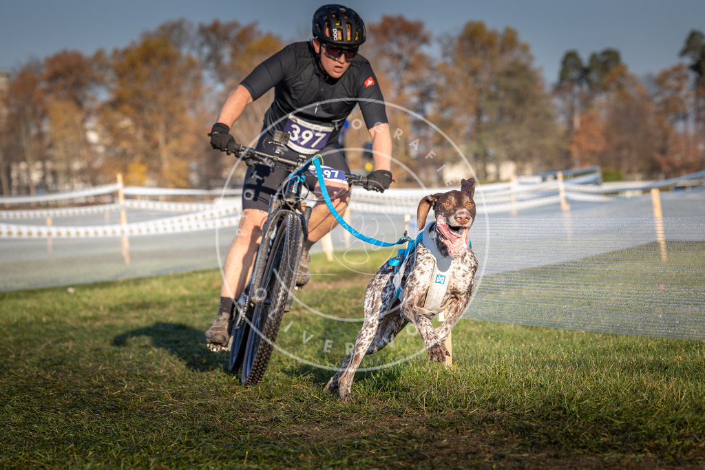 CaniXpix_0L8A3912 | Hundefotografie, Tierfotograf, Pfotenfotografie, Fotoshooting Hund, Hunde Portrait, Hundesport, Hundeportraits, Heideshooting, Hunde, Sportfotograf, Hundefotograf, Turnierhundsport, THS,  - Realisiert mit Pictrs.com