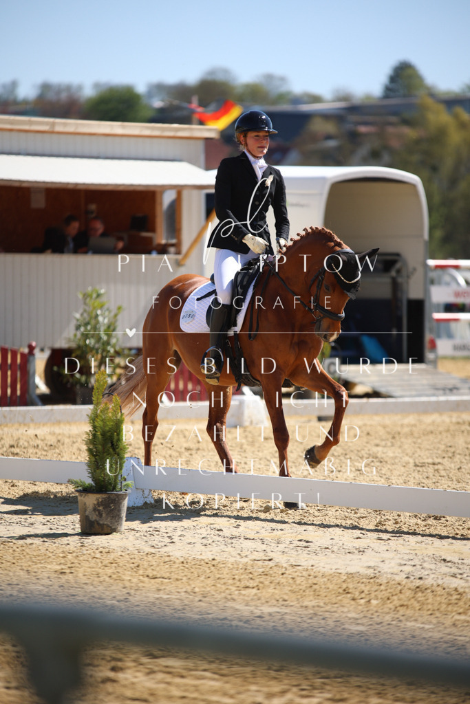 IMGT1081 | pl-fotografie