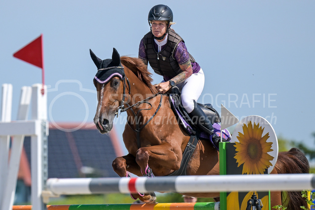 Pferdesporttage Winterthur - 19. July 2025 | Pferdesporttage WinterthurSandplatz Pferdesport-Arena, WinterthurBild: Sportfotografie Markus Aeschimann | www.markus-aeschimann.ch - Realisiert mit Pictrs.com