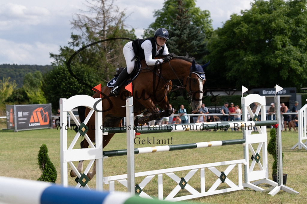 A7V02580 | Pferdefotograf