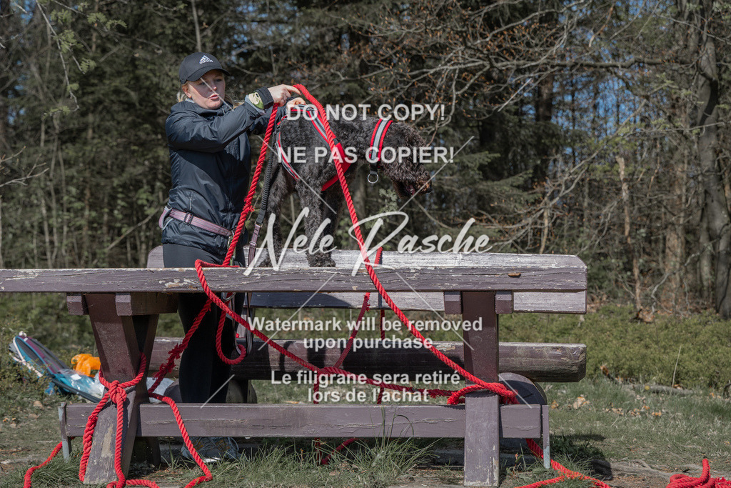 NR__0054 | nelerasche