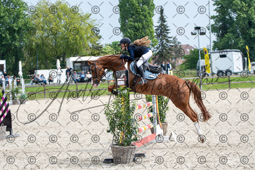 KPT_2943 | andre_photographic