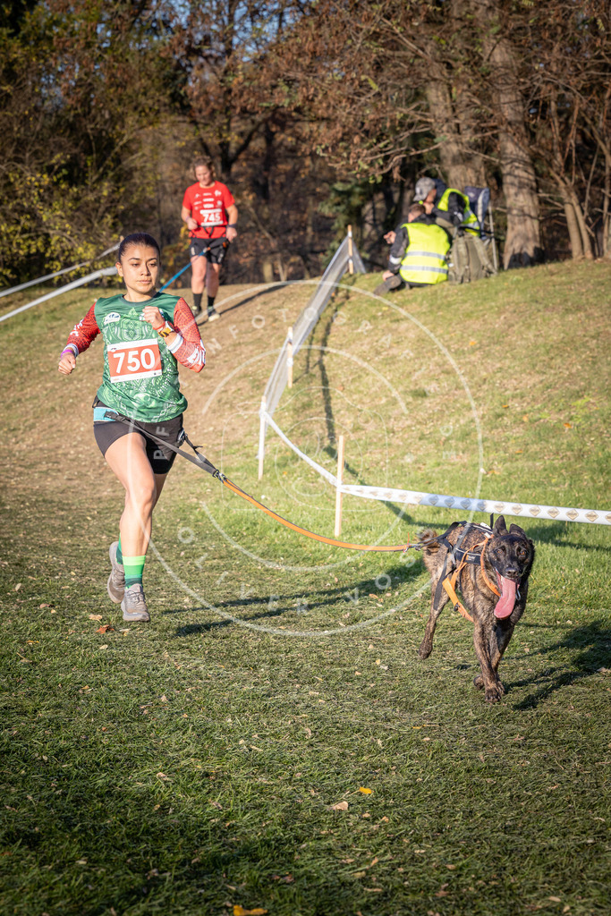 CaniXpix_0L8A9941 | Hundefotografie, Tierfotograf, Pfotenfotografie, Fotoshooting Hund, Hunde Portrait, Hundesport, Hundeportraits, Heideshooting, Hunde, Sportfotograf, Hundefotograf, Turnierhundsport, THS,  - Realisiert mit Pictrs.com