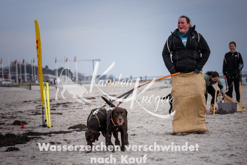 1300_ZZ97586 | kk-dogfotos