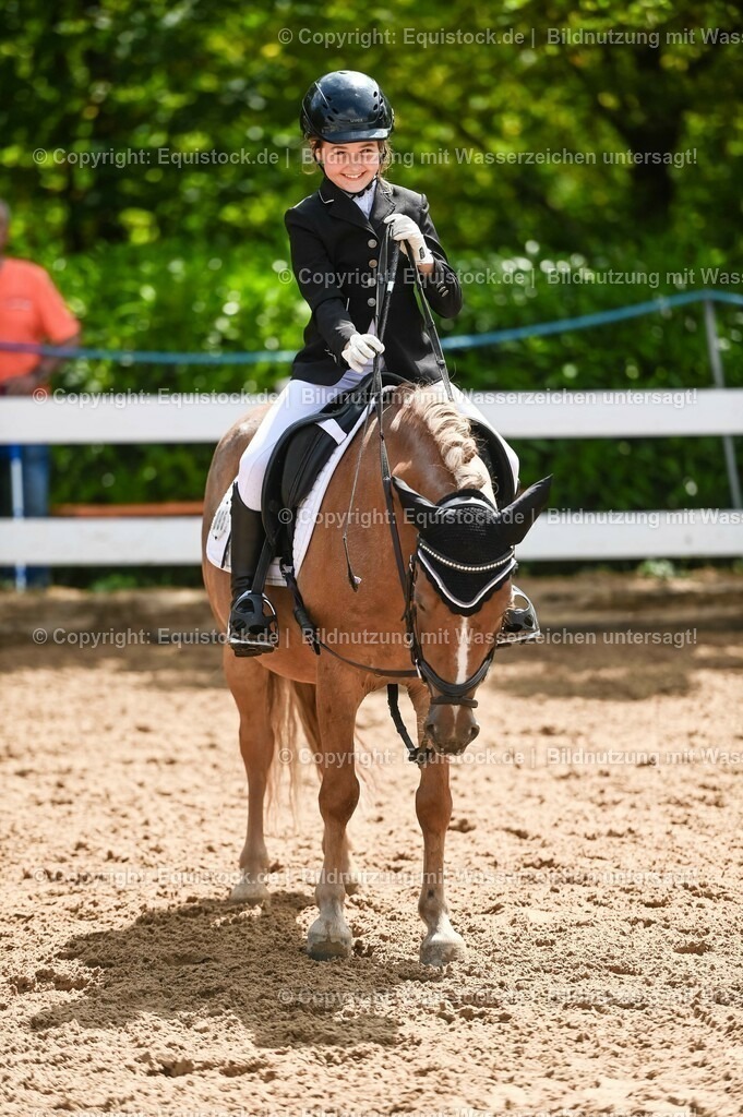 20230716_10-3_Reiter-WB Schritt - Trab - Galopp_0193 | equistock