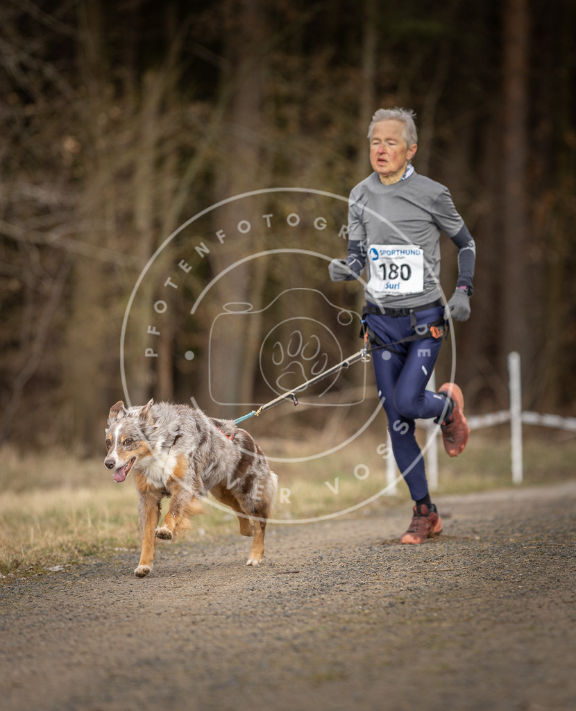 DV3A5383 | Hundefotografie, Tierfotograf, Pfotenfotografie, Fotoshooting Hund, Hunde Portrait, Hundesport, Hundeportraits, Heideshooting, Hunde, Sportfotograf, Hundefotograf, Turnierhundsport, THS,  - Realisiert mit Pictrs.com