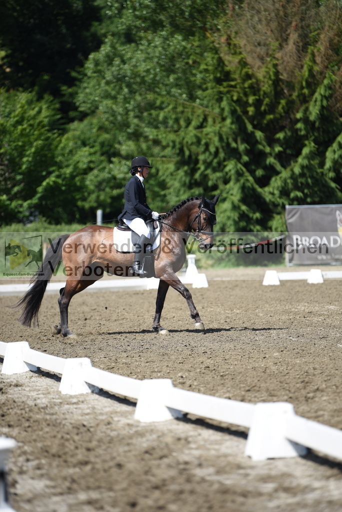 DSC_0102 | equestrian-live-com
