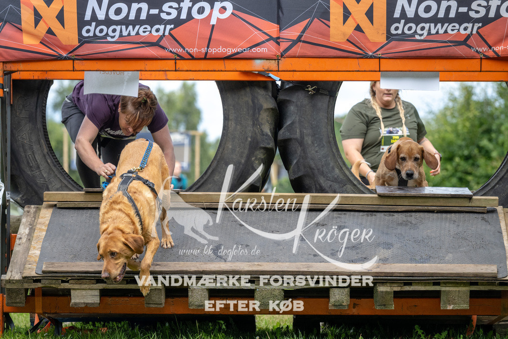 1232_ZZ93935 | kk-dogfotos