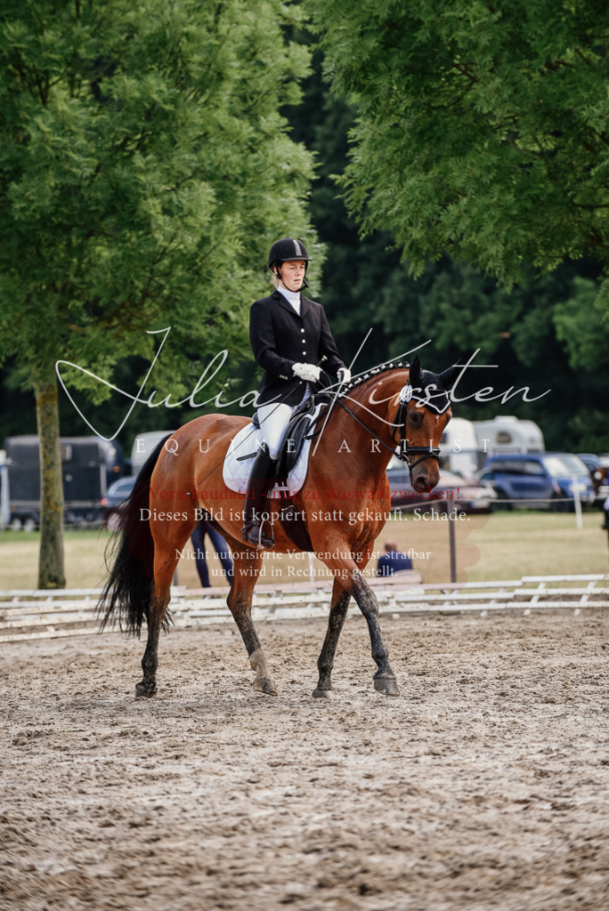 DSC_9747 | Pferde- und Turnierfotografie in Westsachsen. Pferdeportraits, Auftragszeichnungen und intuitive Kunst.