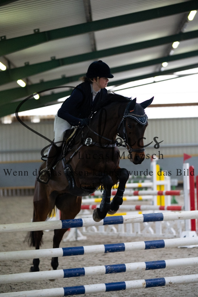 A7V08862 | Pferdefotograf