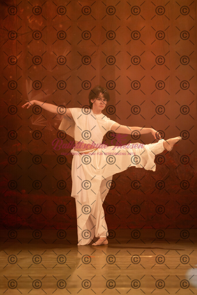 Ballettaufführung-1742 | Bildershop Lem'n Entertainment - Realisiert mit Pictrs.com