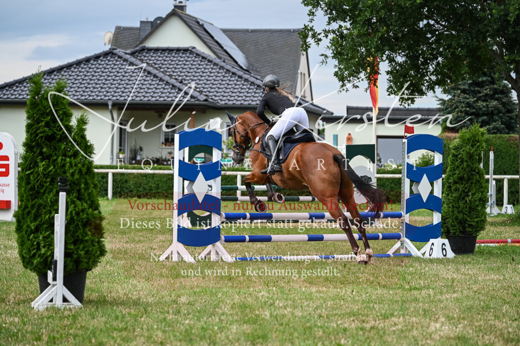 DSC_8326 | Pferde- und Turnierfotografie in Westsachsen. Pferdeportraits, Auftragszeichnungen und intuitive Kunst.