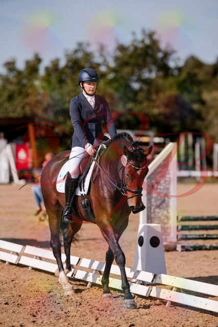 2026_10_03_Siefer-Hof_125535_Z81_44916632 | Professionelle Reitsport-, Turnier- und Eventfotografie von Robert Broda. Galerien mit ausgewählten und bearbeiteten Bildern direkt online ansehen und bestellen.