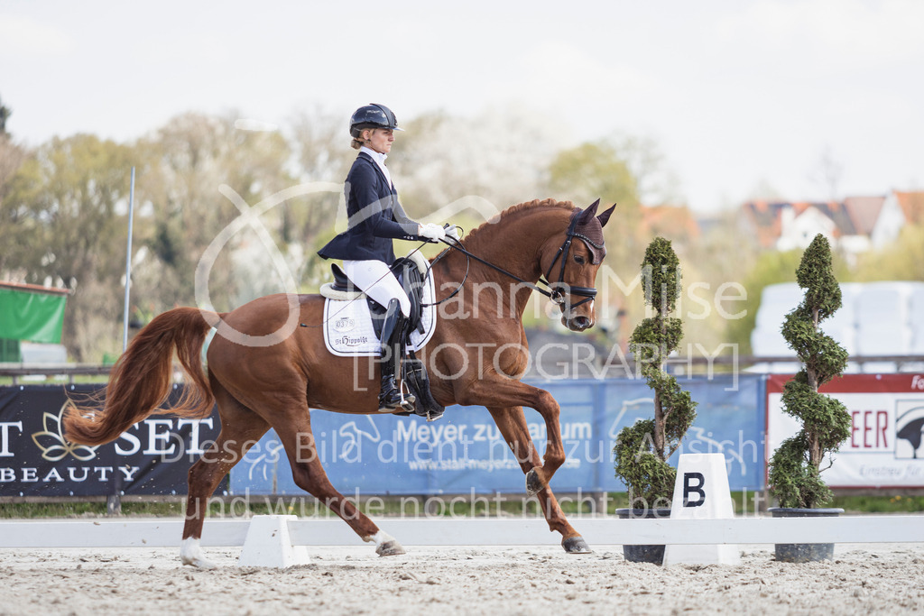 250416_Dressurpferde-L-264 | Deine schönsten Turniermomente als professionelle Fotos! Entdecke hochwertige Pferdesport-Fotografie im Online-Shop. Jetzt Fotos finden & bestellen!