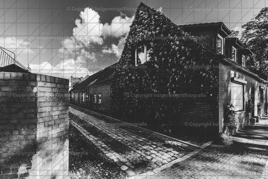 20221008125630D75_0747 | Kaufen sie online außergewöhnliche Fotografien auf Leinwand Acrylglas Fotoprint Aludibond von holgerweigeltfotografie - Realisiert mit Pictrs.com