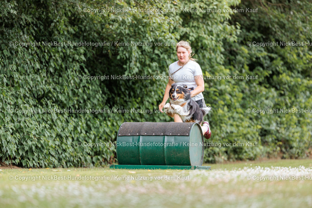 THS-Quakenbrück-2026-Nickbest-Hundefotografie-4538 | Dein Hund! Dein Moment! Deine Erinnerungen! Hundefotografie in Bremen Blumenthal. Ich fange die besonderen Momente deines Vierbeiners ein – ob Indoor mit Blitzanlage oder in der freien Natur. Sicher dir dein Moment und dein Termin für eure Erinnerungen.
