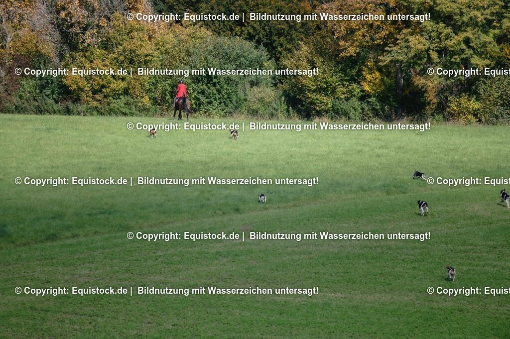 20251011_Jagd-Marbach_0244 | Foto: Thomas Hartig