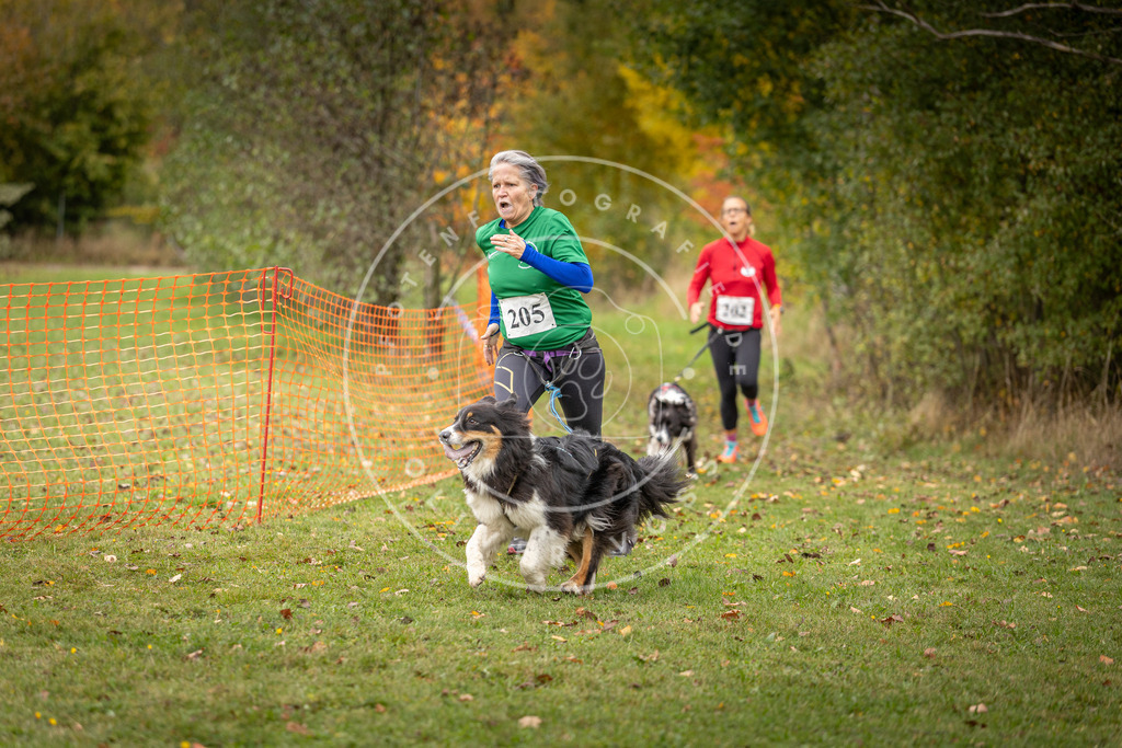 Pfotenfotografie_DV3A4133 | Hundefotografie, Tierfotograf, Pfotenfotografie, Fotoshooting Hund, Hunde Portrait, Hundesport, Hundeportraits, Heideshooting, Hunde, Sportfotograf, Hundefotograf, Turnierhundsport, THS,  - Realisiert mit Pictrs.com