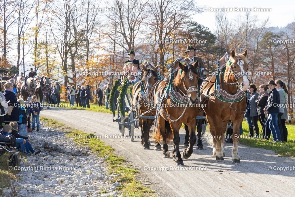 LBT24-1256 | foto-bettina-krinner - Realisiert mit Pictrs.com