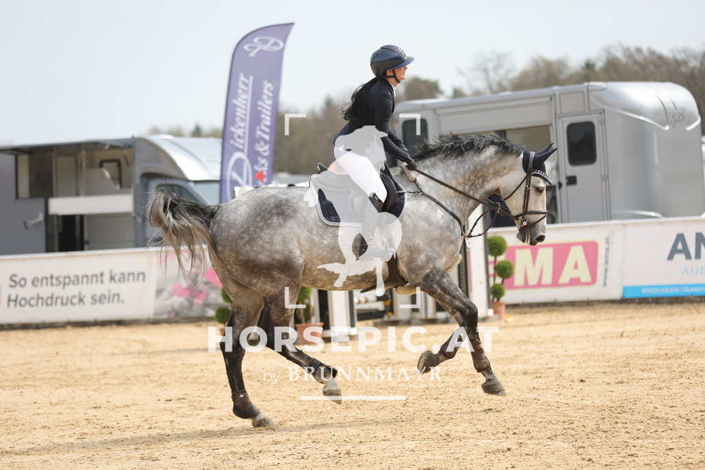 0P6A5531 | Willkommen bei Brunnmayr - Design & Fotografie – Ihrem Spezialisten für Reitturniere und Pferdeveranstaltungen in Oberösterreich, Salzburg und Bayern! Seit über 17 Jahren sind wir leidenschaftlich dabei.