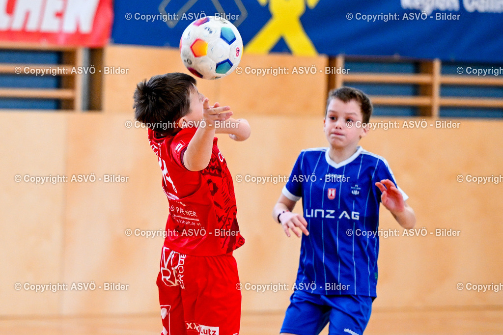 ASVÖ_ Fussballturnier SV Gallneukirchen_ 09.02.2025-146 | 09.02.2025, Gallneukirchen, AUT, ASVÖ, Fussball Nachwuchs Hallenturnier 2025, SV Gallneukirchen im Bild Teilnehmer U 9©Harald Dostal / fodo.media - Realisiert mit Pictrs.com