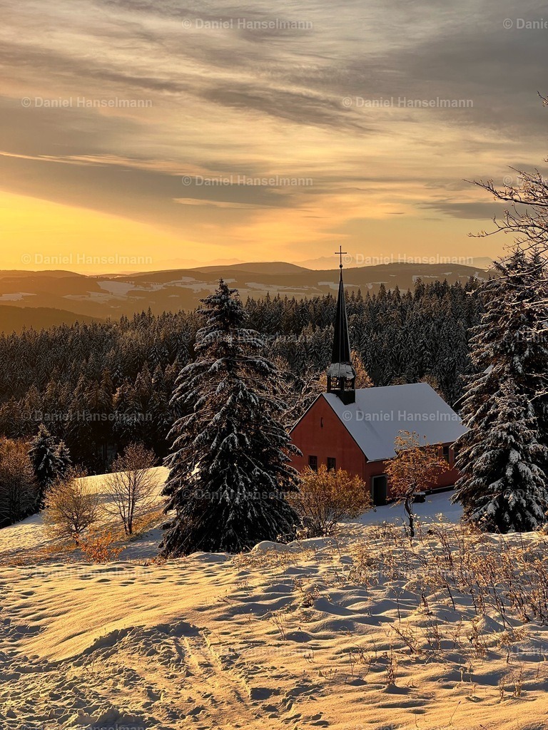IMG_8527_Original | Hier finden Sie Poster, Leinwandfotos sowie viele weitere Fotoprodukte mit Motiven aus dem Schwarzwald, aus Freiburg und dem Kaiserstuhl zum Download und zum Bestellen.  - Realisiert mit Pictrs.com