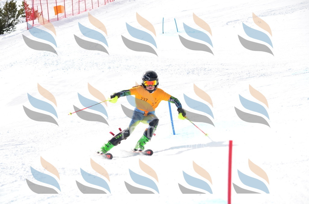 C8356 | holidayphoto