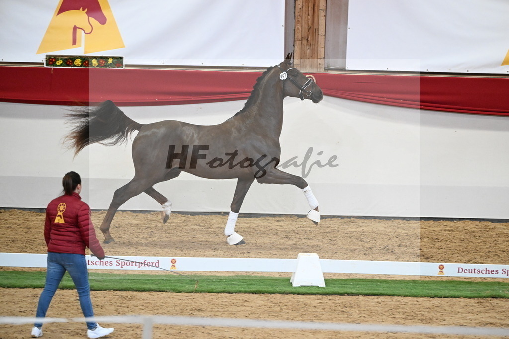 Kat.-Nr. 47 v. Damontez_Pfefferle_2250109 | hf-fotografie - Realisiert mit Pictrs.com