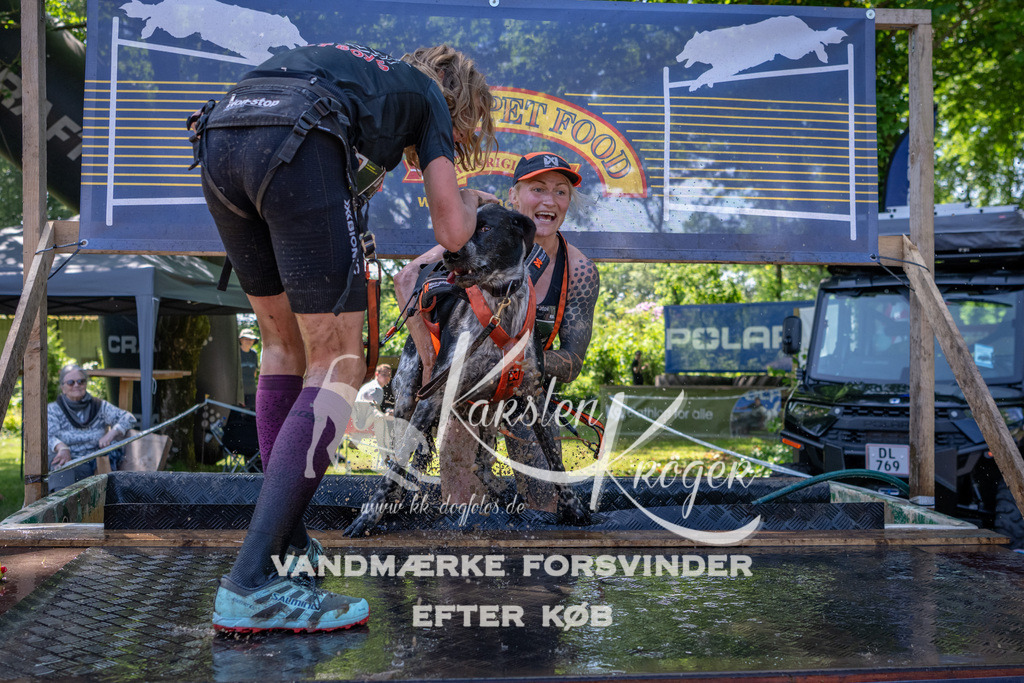 1344_ZZ92174 | kk-dogfotos