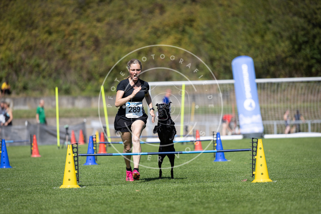 Pfotenfotografie_DV3A7386 | Hundefotografie, Tierfotograf, Pfotenfotografie, Fotoshooting Hund, Hunde Portrait, Hundesport, Hundeportraits, Heideshooting, Hunde, Sportfotograf, Hundefotograf, Turnierhundsport, THS,  - Realisiert mit Pictrs.com
