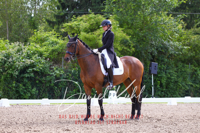 DKP41381 | Turnierfotos kaufen im Webshop von Daniel Kuhl Photography – entdecke professionelle Reitsportfotos aus Turnieren & Events. Hochwertige Turnierbilder online bestellen & sichern. Jetzt Fotos von Reitsportturnieren kaufen!
