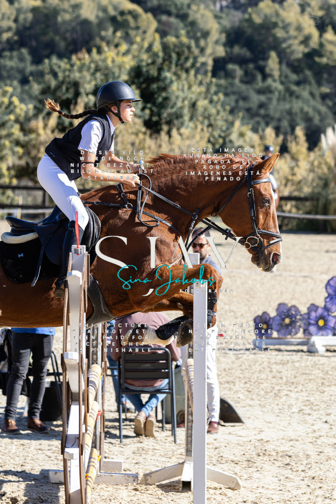 IMG_9905 (2) | s-jay-photography - Realisiert mit Pictrs.com