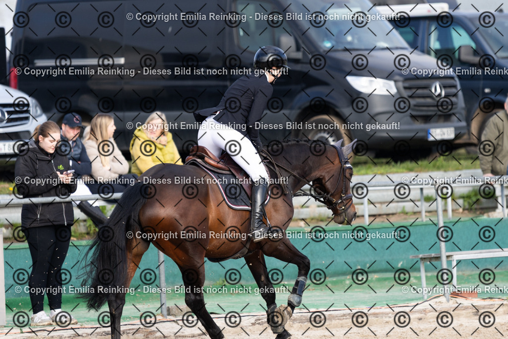 CL5A5081 | Emilia Reinking Fotografie - Realisiert mit Pictrs.com