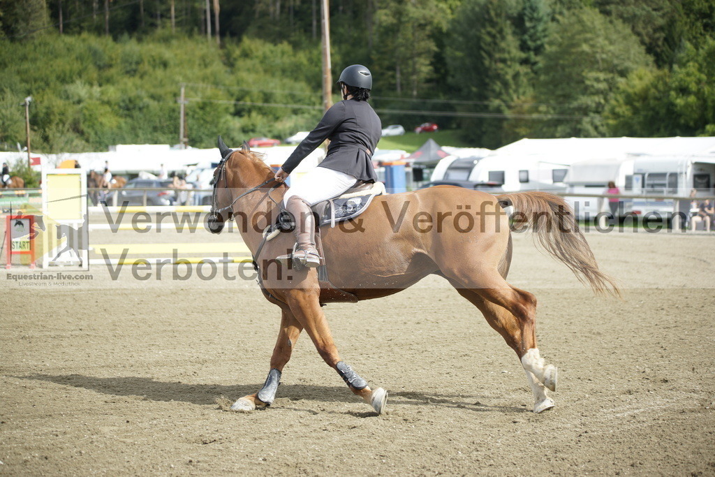 _DSC4363 | equestrian-live-com