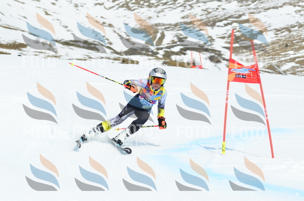 _ELE2480 | holidayphoto