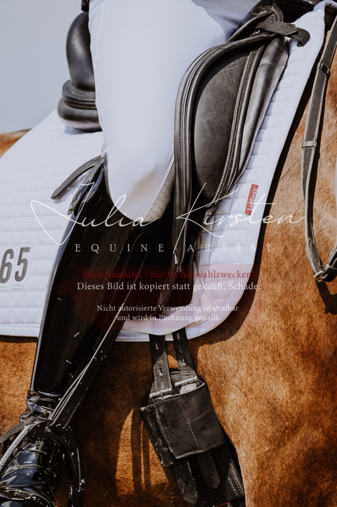 DSC_2691 | Pferde- und Turnierfotografie in Westsachsen. Pferdeportraits, Auftragszeichnungen und intuitive Kunst.