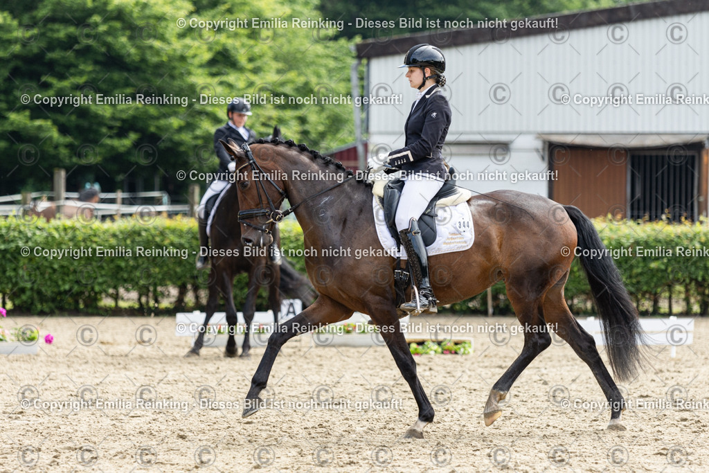 CL5A5440 | Emilia Reinking Fotografie - Realisiert mit Pictrs.com