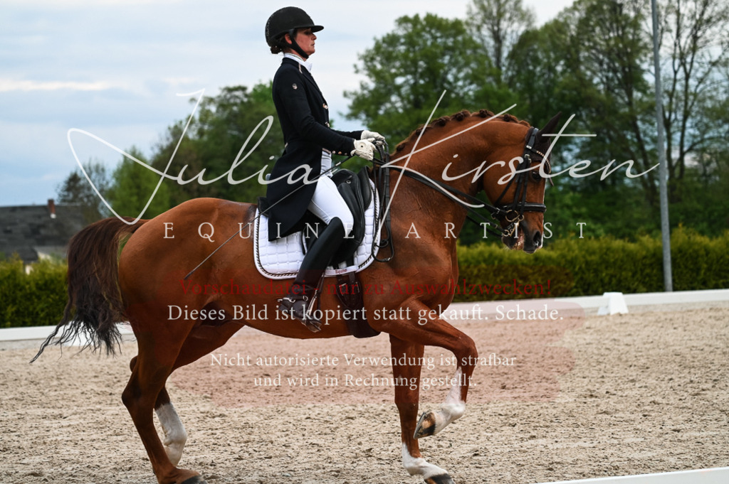 20230513_JK-Röhrsdorf-13-633 | Pferde- und Turnierfotografie in Westsachsen. Pferdeportraits, Auftragszeichnungen und intuitive Kunst.