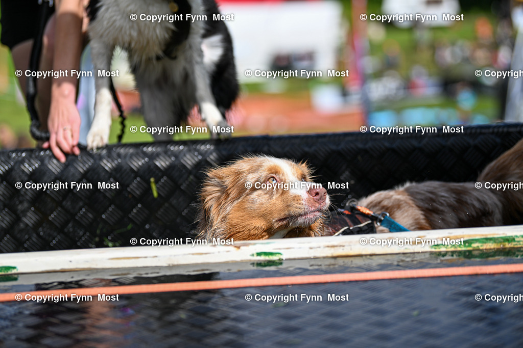 DSC_8851 | Hallo und herzlich Willkommen auf meiner Shop-Seite Fynn Most.

Ich wünsche Dir viel Spaß beim stöbern durch die Bilder, wenn Du Fragen hast oder Bilder vermisst, kannst du mir gerne eine Nachricht schreiben. - Realisiert mit Pictrs.com