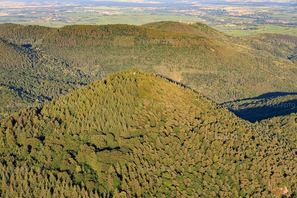 Luftbild: Rehbergturm in Waldrohrbach im Bundesland Rheinland-Pfalz in Deutschland. – Foto: IMG_157758.jpg vom 18.06.2026 durch Werner Riehm/FLY-FOTO.de – Auflösung des Originals: 5691 x 3794 px