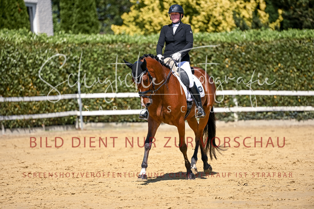 Schugtsche-Aluta25-49.Dressurpferdeprf.A-250 | Schugtsche Fotografie - Realisiert mit Pictrs.com