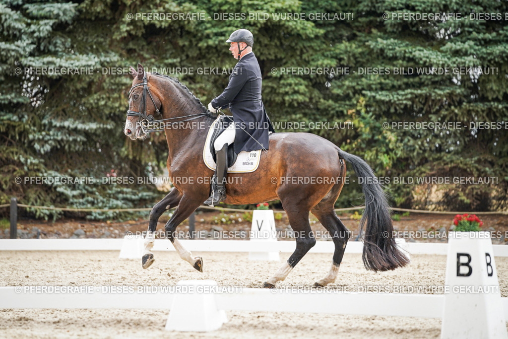 DSC06951 | Pferdegrafie