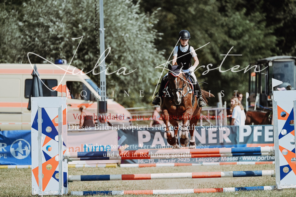 DSC_9457 | Pferde- und Turnierfotografie in Westsachsen. Pferdeportraits, Auftragszeichnungen und intuitive Kunst.