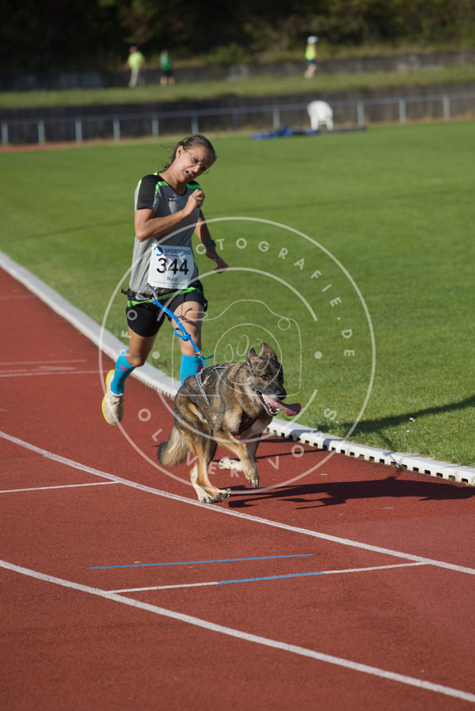 0L8A9167 | Hundefotografie, Tierfotograf, Pfotenfotografie, Fotoshooting Hund, Hunde Portrait, Hundesport, Hundeportraits, Heideshooting, Hunde, Sportfotograf, Hundefotograf, Turnierhundsport, THS,  - Realisiert mit Pictrs.com