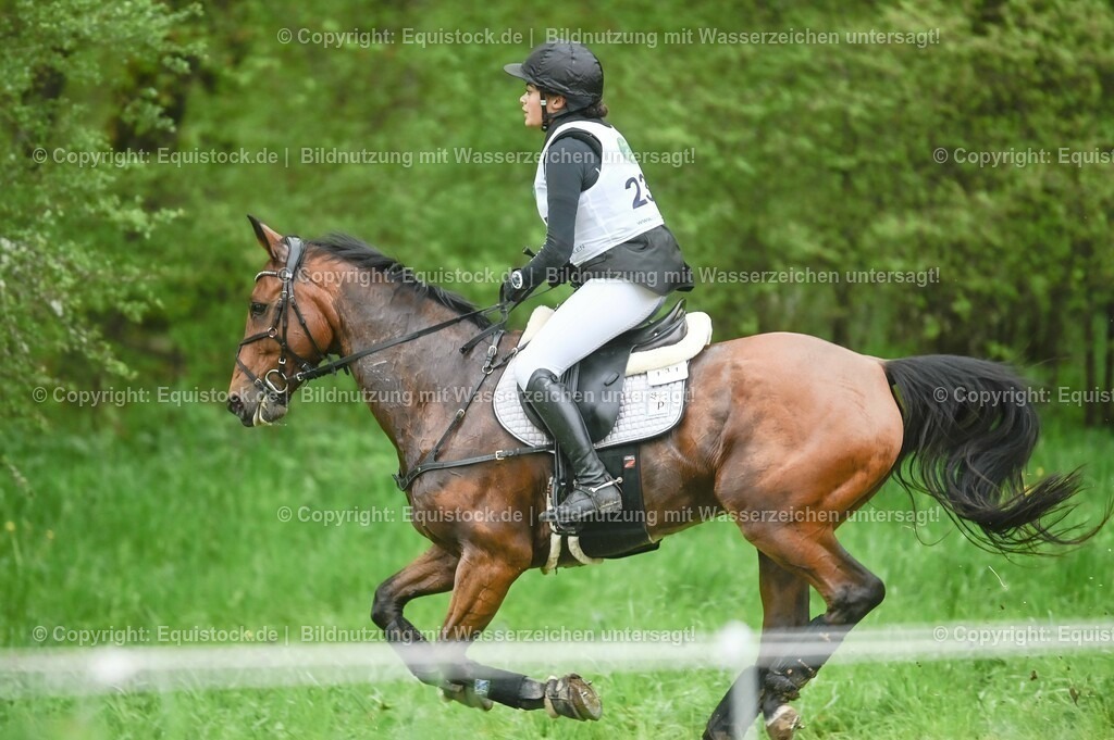 20230513_CCI2_Section2_Gelände_0579 | equistock